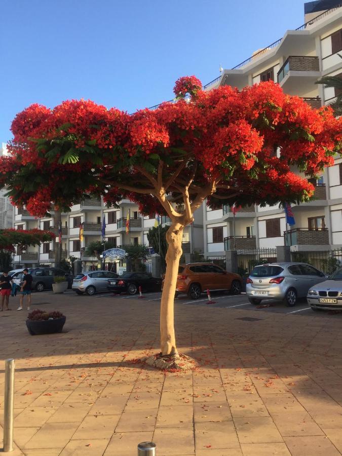 Top Floor Sea View Central Holiday Home Maspalomas  Esterno foto